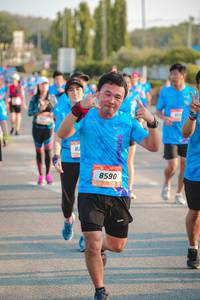 BIB: 8590
                            <button type="button" onclick="openModal(3216172)" class="btn btn-primary btn-sm float-right btn-popup" data-toggle="modal" data-target=".modal-high-quality">
                        <i class="fas fa-shopping-cart"></i> Add to Cart
                    </button>
                                            <button type="button" onclick="isThisMe(3216172, true)" class="btn btn-success btn-sm float-right btn-popup btn-isme hidden" data-toggle="tooltip" data-placement="bottom" title="นี่คือรูปของคุณใช่ไหม คลิกที่นี่เพื่อเอาเข้าอัลบั้ม">
                        <i class="fas fa-plus"></i> Add to album
                    </button>
                    <button type="button" onclick="isThisMe(3216172, false)" class="btn btn-warning btn-sm float-right btn-popup btn-isnotme hidden">
                        <i class="fas fa-ban"></i> Remove from album
                    </button>